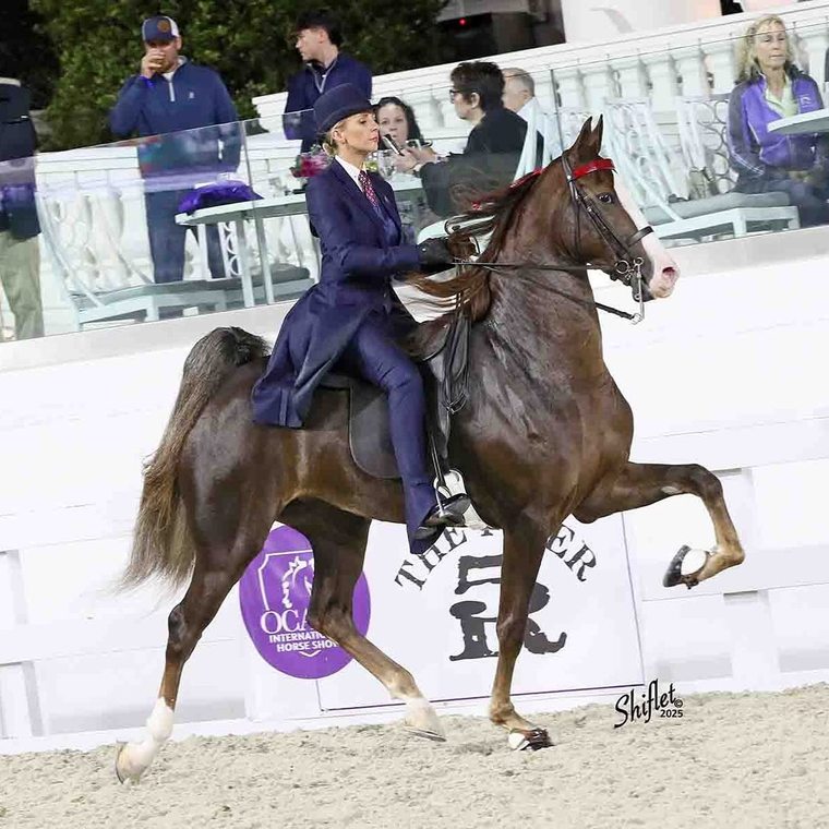 Solaris Farm saddle seat performance