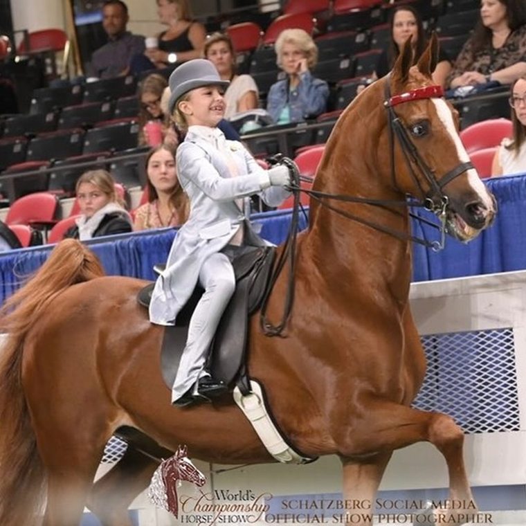 Solaris Farm young rider in competition