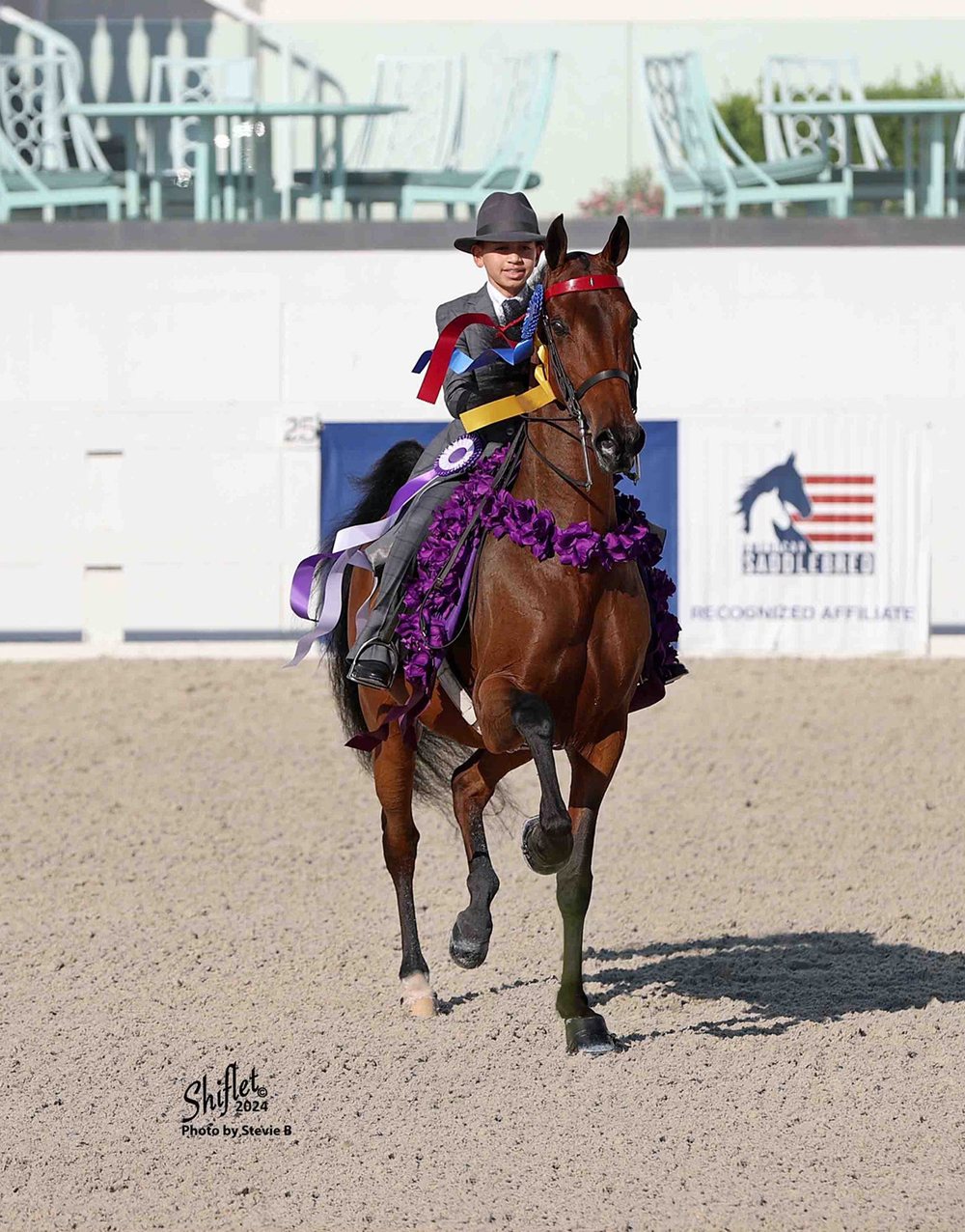 Solaris Farm young champion rider with ribbons and floral garland