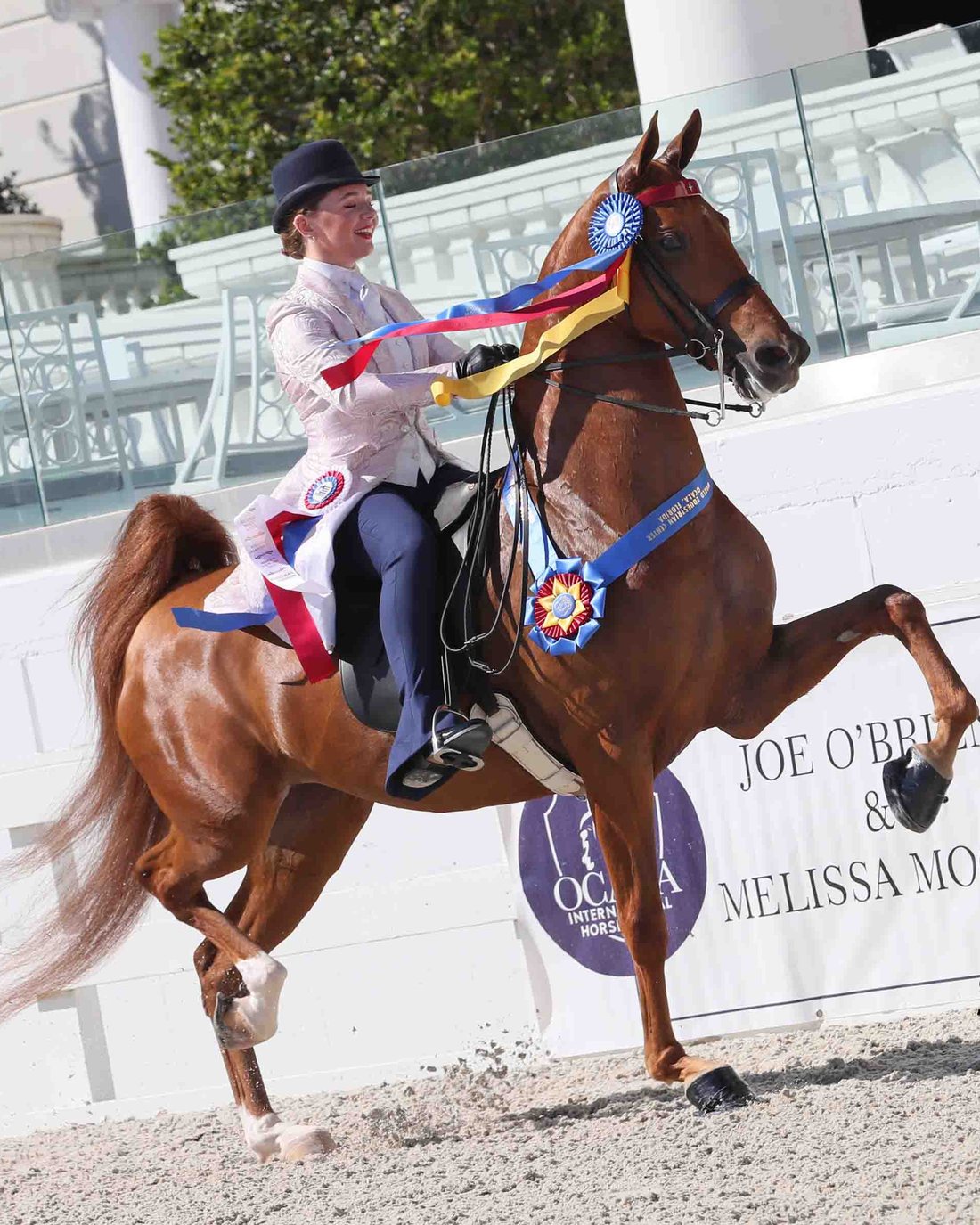 Solaris Farm rider with championship ribbons